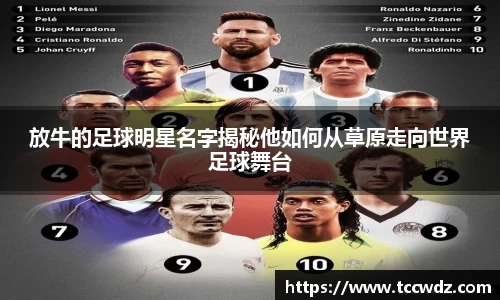 九游体育官方网站